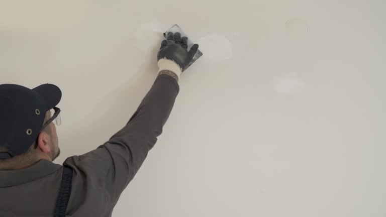 Best Drywall Sanding and Smoothing  in Morrice, MI